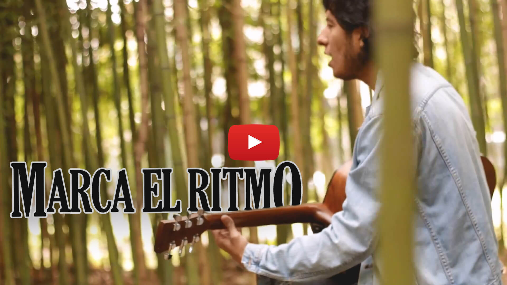 Videos de Youtube